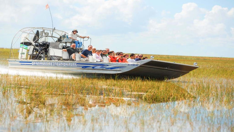 Everglades National Park: Airboat Tour and Wildlife Show