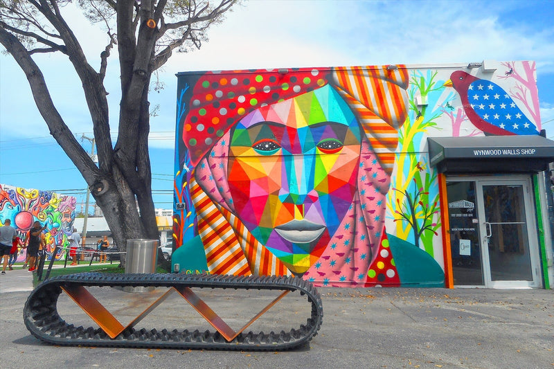 Wynwood Art District Street Art Tour (1-Hour)