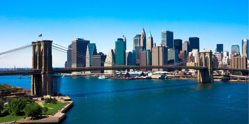 Full-Day New York "Must See" Small-Group Tour (7 hours) + FREE World Observatory Ticket