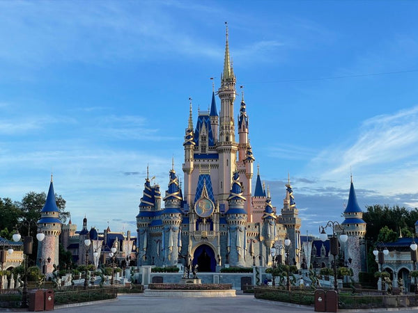 One day Disney Magic Kingdom only (Included)