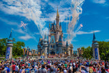 One day Disney Magic Kingdom only (Included)