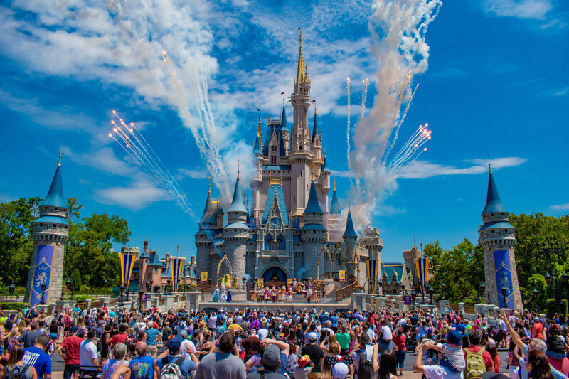 One day Disney Magic Kingdom only (Included)