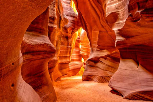 Las Vegas: Antelope Canyon & Horseshoe Bend Tour with Pickup