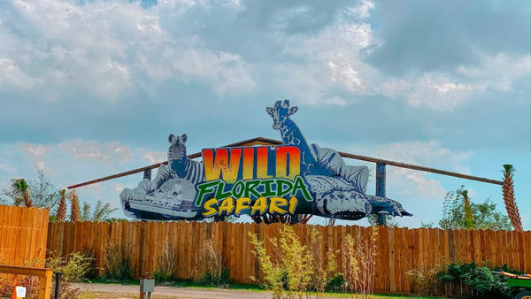 Wild Florida Drive-Thru Safari and Gator Park Admission