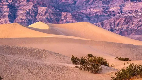 Americas Great Desert National Parks