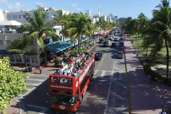 Half Day City Tour of Miami by Bus with Sightseeing Cruise