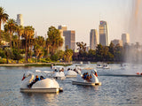 Swan Boat Rental in Echo Park