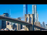 New York in One Day Guided Sightseeing Tour